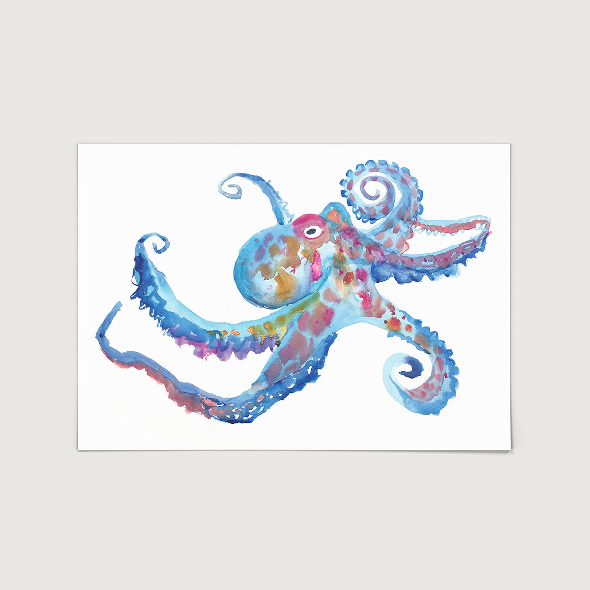 Octopus A3 Art Print