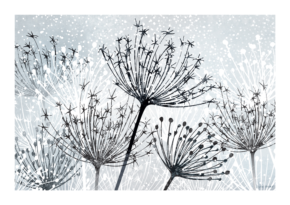 Seedheads Art Print - Winter Garden Series - Image 2