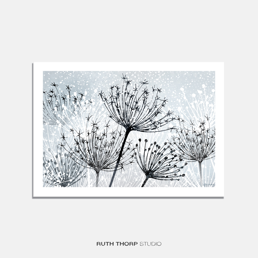 Seedheads Art Print - Winter Garden Series