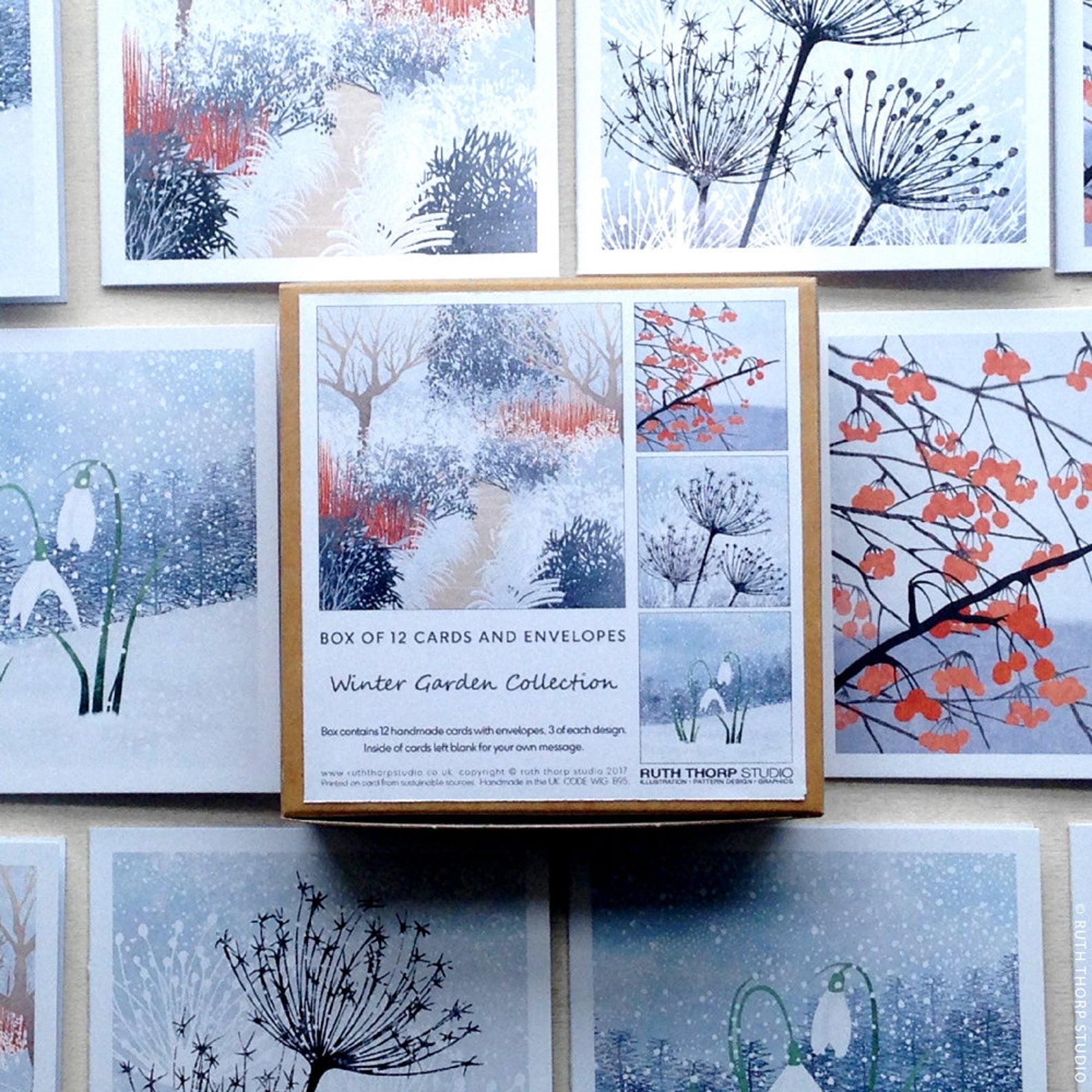 Winter Garden Collection Box of 12 Cards
