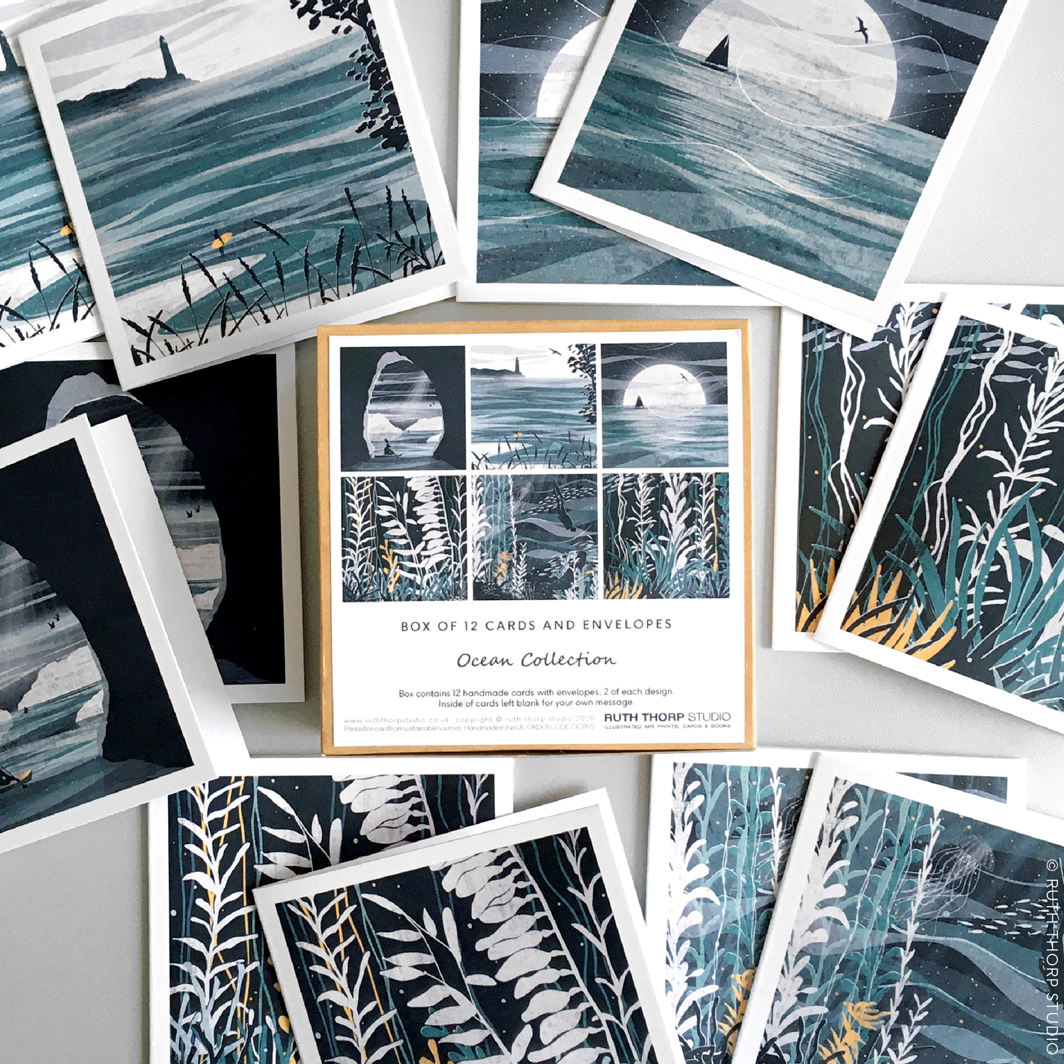 Ocean Collection Box of 12 Cards and Envelopes
