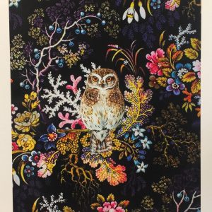 Little Owl A3 Art Print