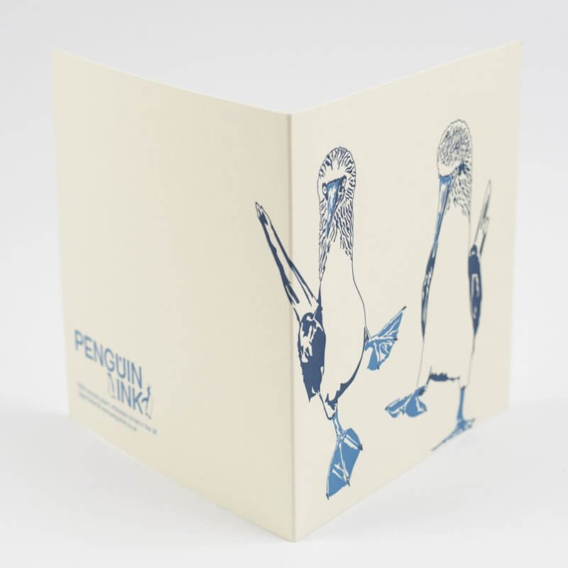 Blue Footed Boobies Card - Image 2