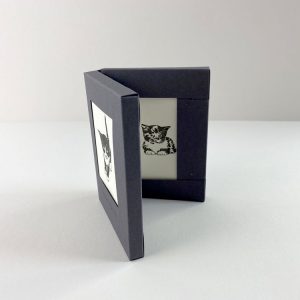 Penguin_Ink_Pussycat_Box_Set_Little_Notes