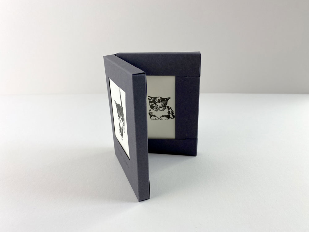 Penguin_Ink_Pussycat_Box_Set_Little_Notes