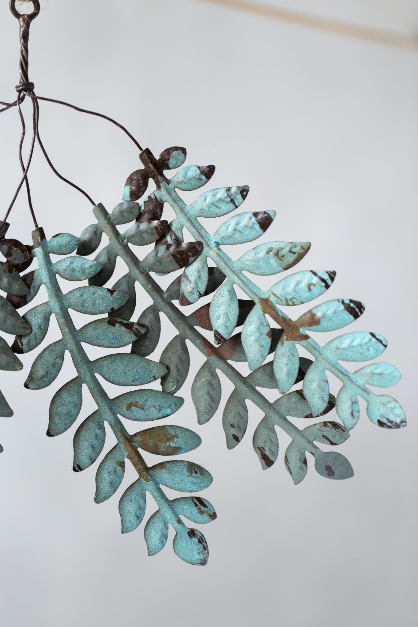 Bunch of Leaves Robinie - Image 3