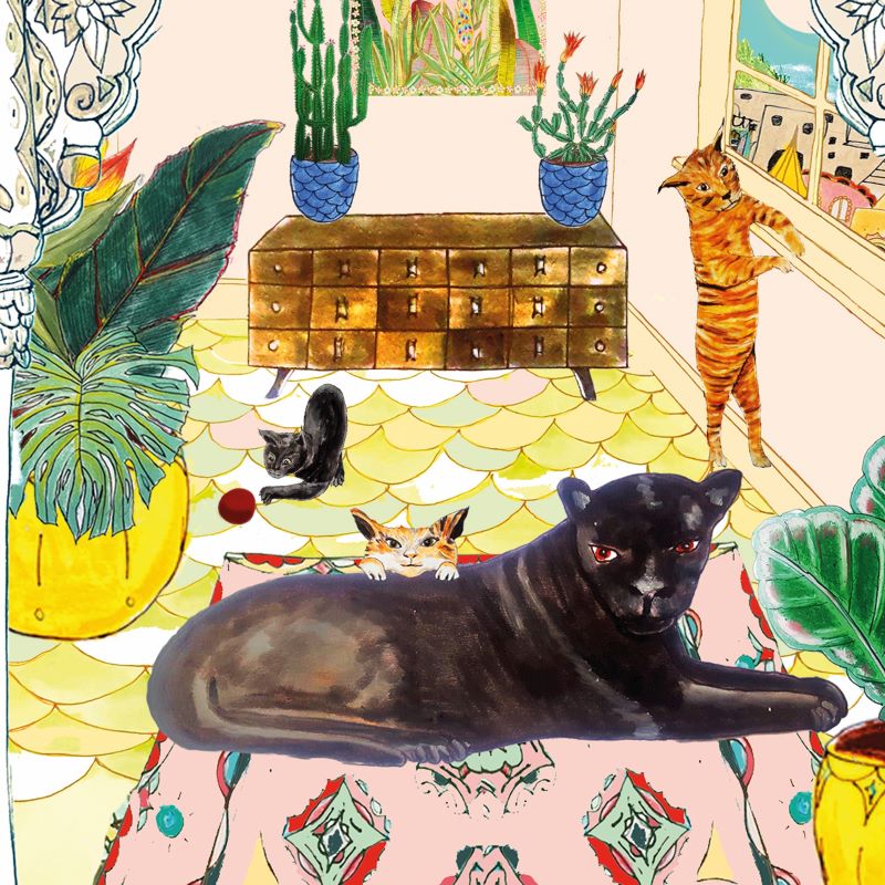 Wildflower_Cards_Crazy_Cats_Print_Close.