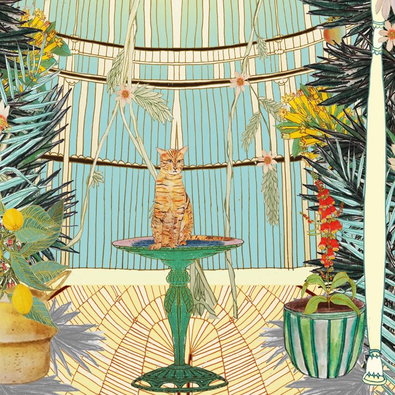 One Cool Cat Print - Image 2