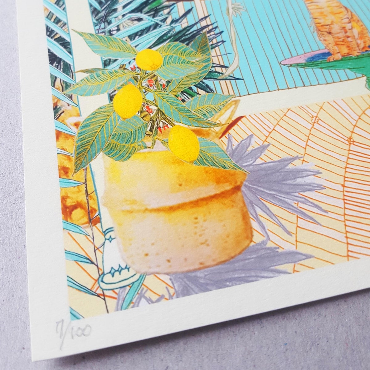 Wildflower_Cards_One_Cool_Cat_Print_Close_1