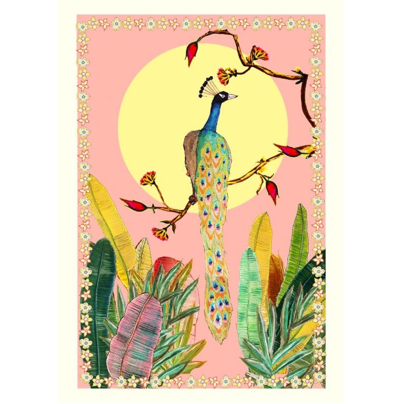Wildflower_Cards_Pink_Sky_Peacock