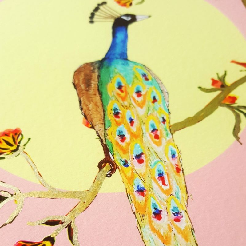 Wildflower_Cards_Pink_Sky_Peacock_Close