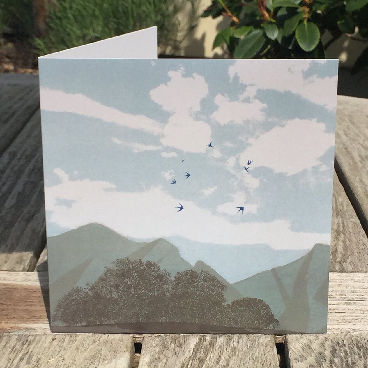 Anna_Harley_Bluebird_Card