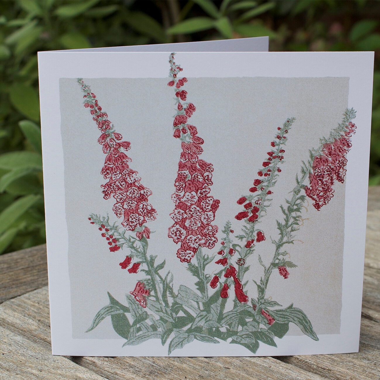 Anna_Harley_Foxglove_Card