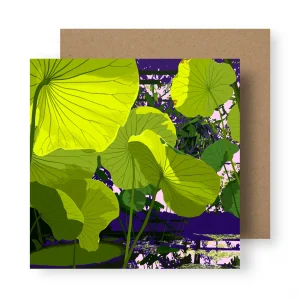 Rosie_Reiter_Sunlight_Through_Lotus_Greetings_Card