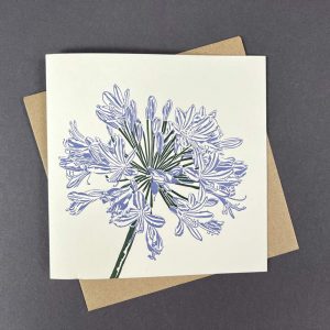 Penguin_Ink_Agapanthus_Card
