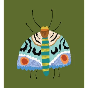 Moth A4 Art Print