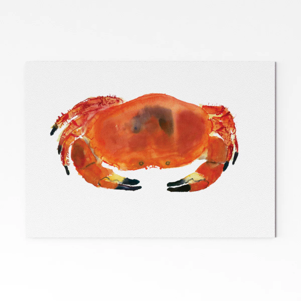 Crab A4 Art Print