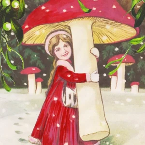 Mushroom Festive Card