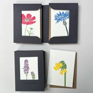 Flower Stems Little Notes Card Set - Boxed