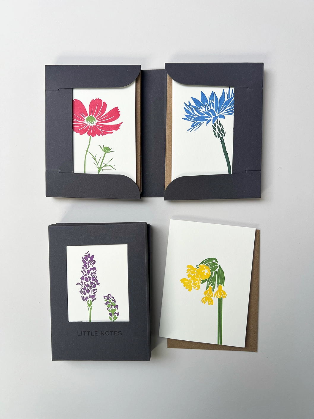Flower Stems Little Notes Card Set - Boxed
