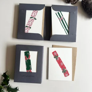 Crackers Little Notes Card Set - Boxed