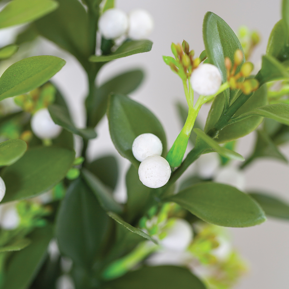 Mistletoe Sprig - Image 4